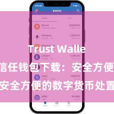 Trust Wallet钱包安全 信任钱包下载：安全方便的数字货币处置器用