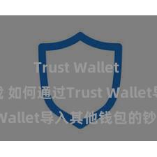 Trust Wallet app下载 如何通过Trust Wallet导入其他钱包的钞票？